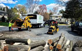 Best Hazardous Tree Removal  in Obetz, OH